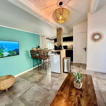 Maison Moana- Jaccuzi - Groupama Stadium Ldlc Arena Eurexpo * מייזיו