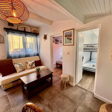 Maison Moana Groupama Stadium Ldlc Arena Eurexpo Meyzieu