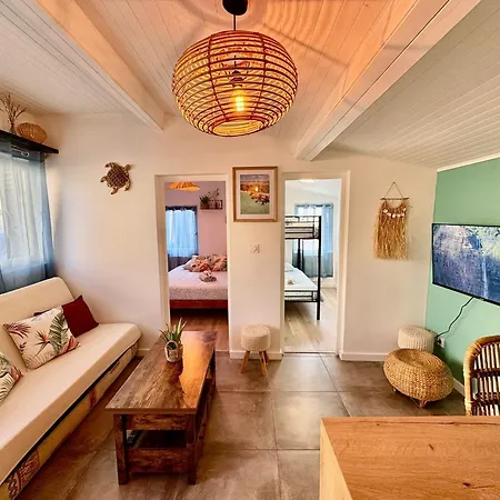 Maison Moana Groupama Stadium Ldlc Arena Eurexpo Meyzieu