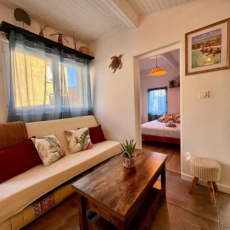 Maison Moana Groupama Stadium Ldlc Arena Eurexpo *