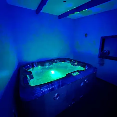 Maison Moana- Jaccuzi - Groupama Stadium Ldlc Arena Eurexpo * מייזיו